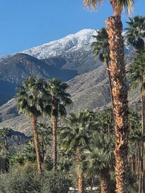 View from LUXE condo suite?