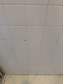 mold in main shower