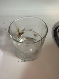 Dirty dishes just put back in cabinet