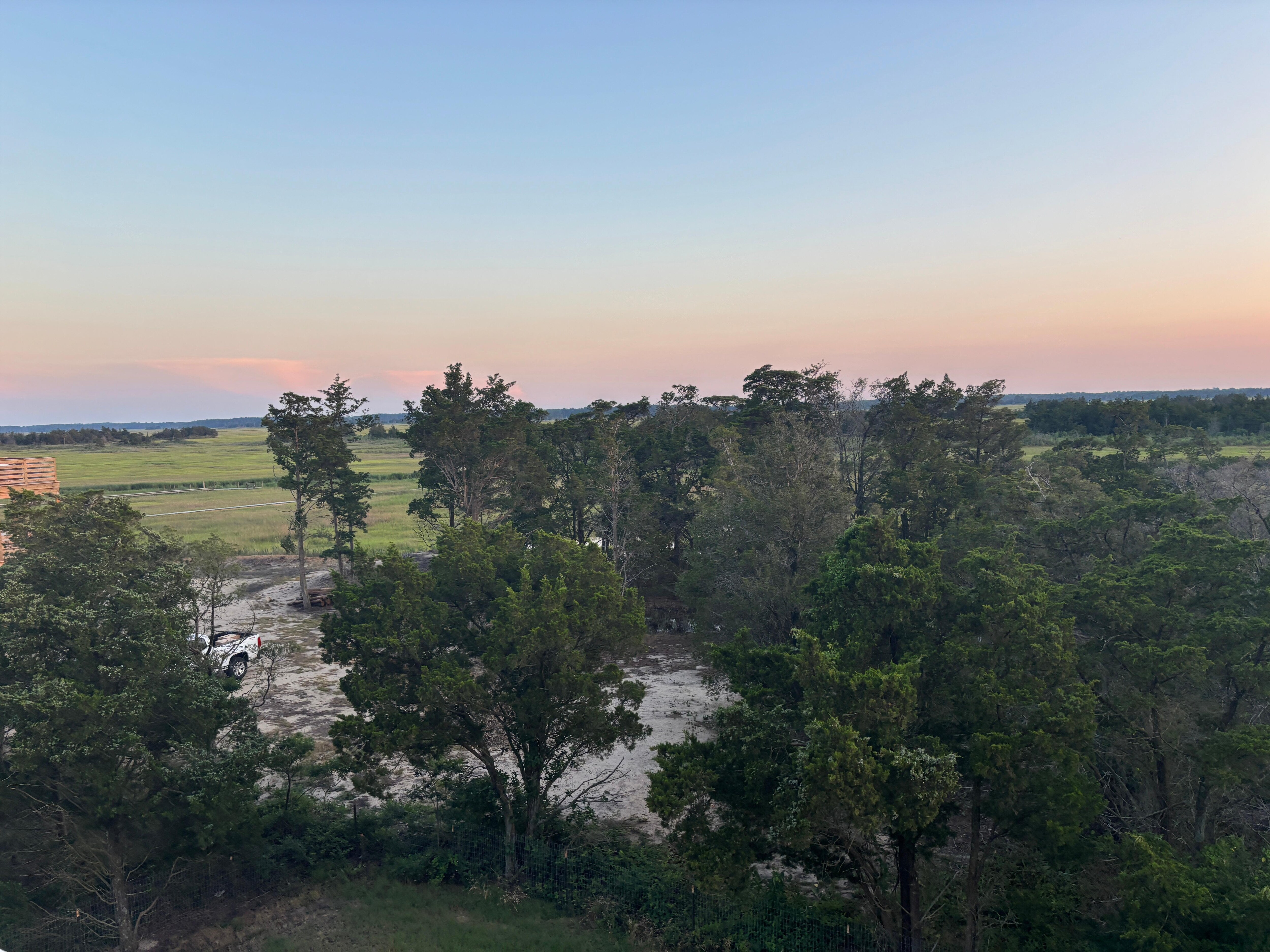 Backyard view of marsh