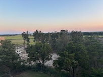 Backyard view of marsh