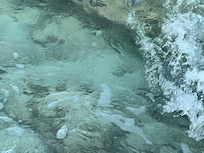 Water so clear, visibility can be 100 feet.