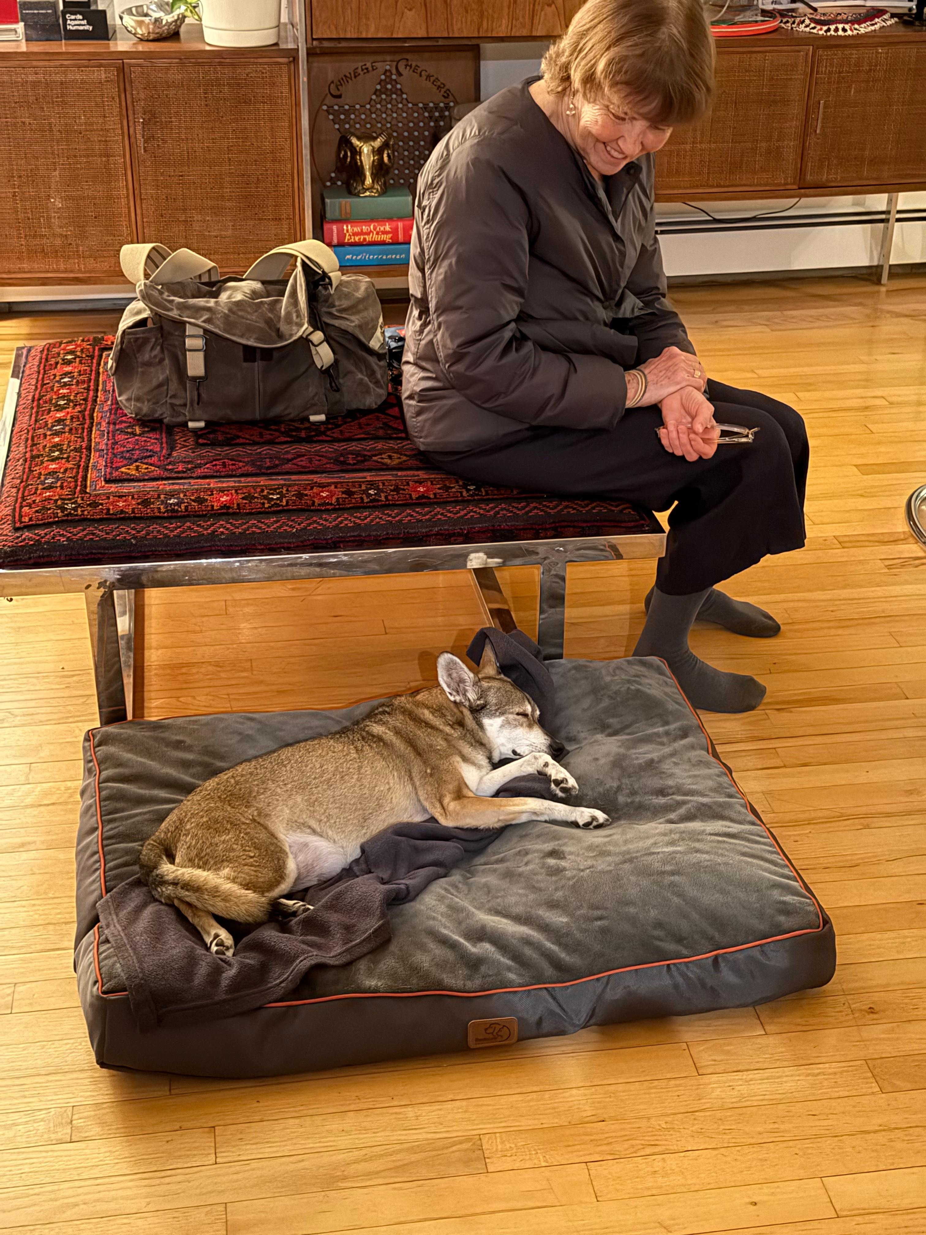 Our small dog loved the big beds!