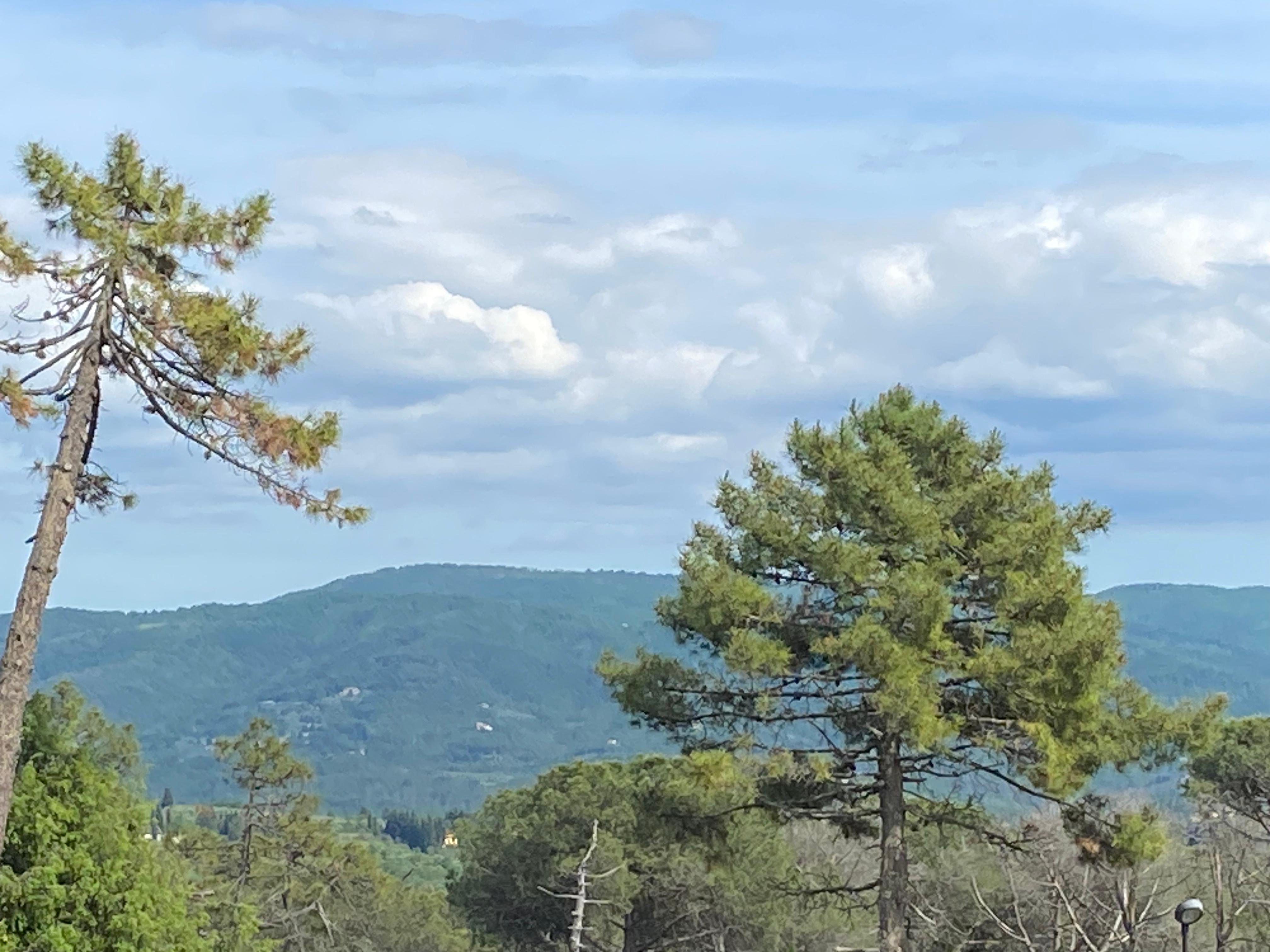 View from the bedroom window