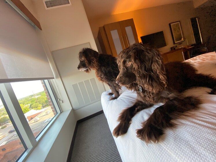 Submitted by Eleanor, May 4, 2022
