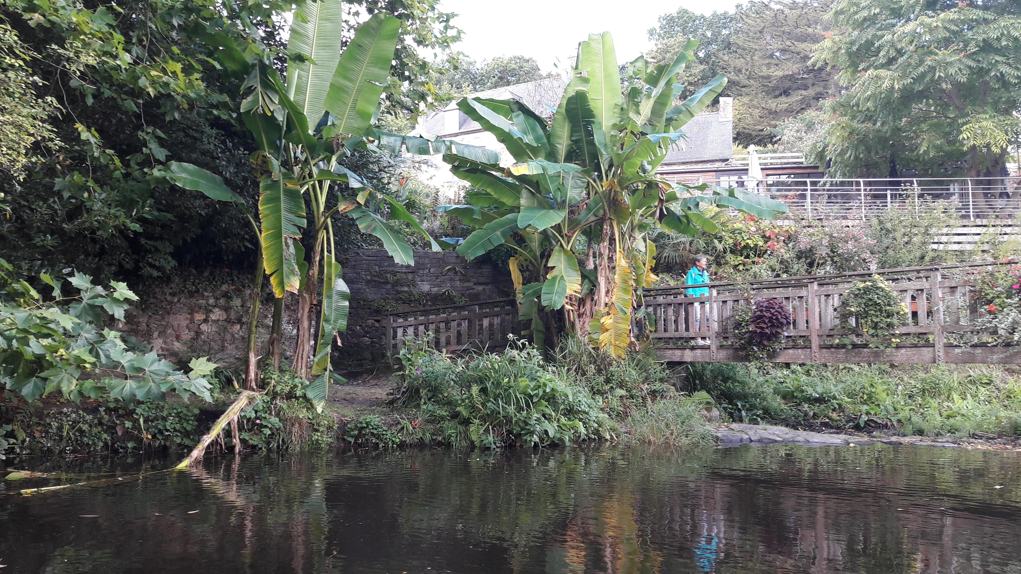 Venise verte (PONTRIEUX)
