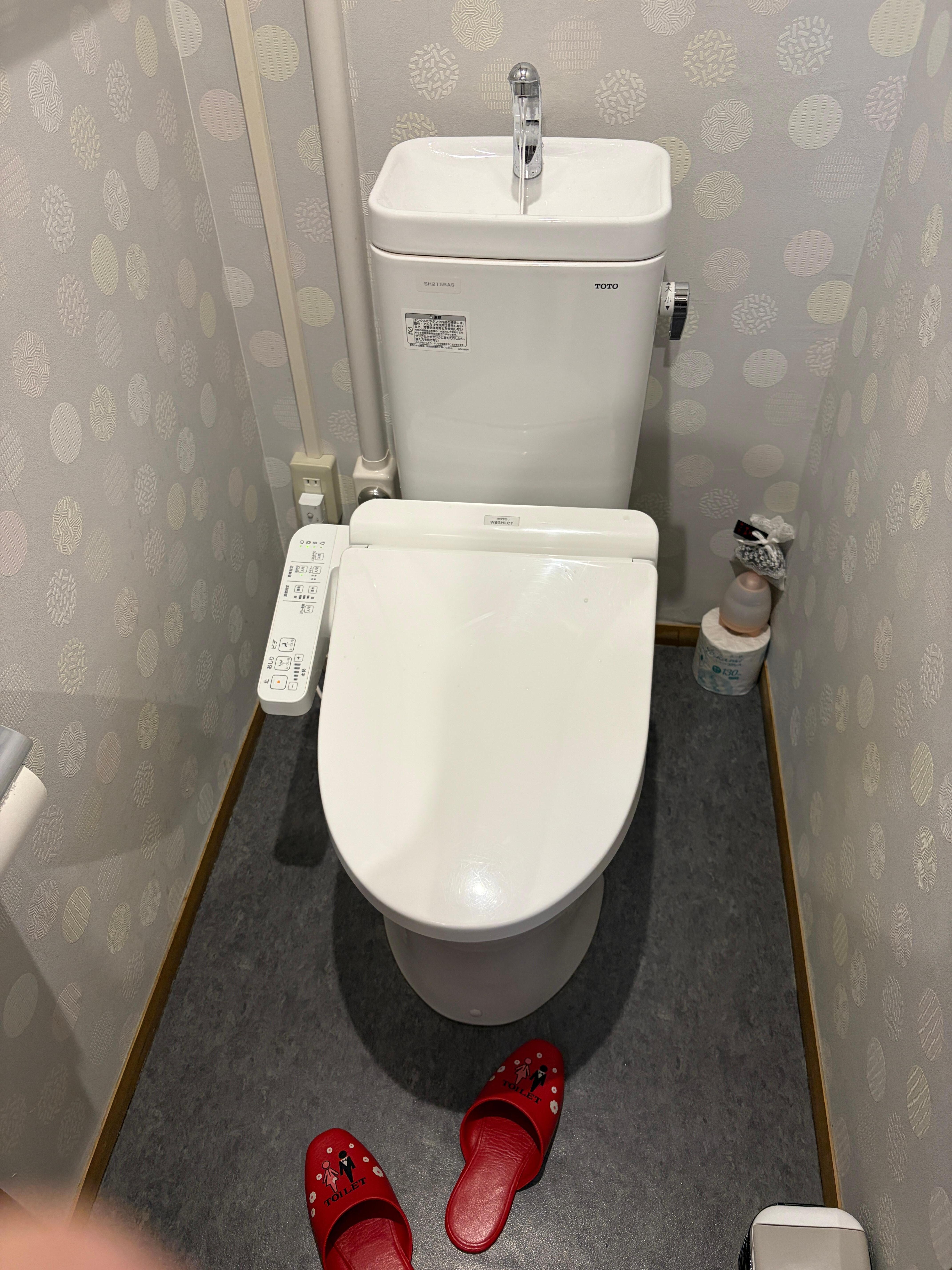 Liten toalett, ingen dusch på rummet 