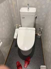 Liten toalett, ingen dusch på rummet