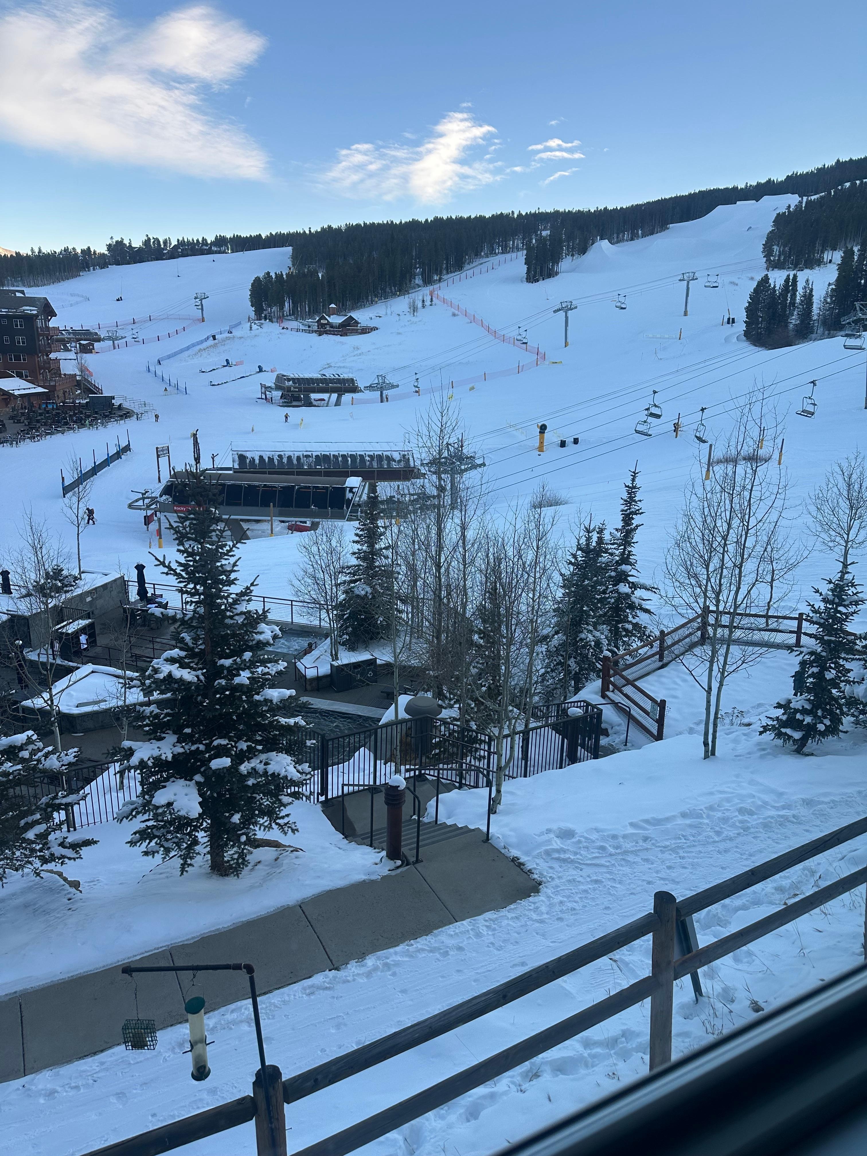 Here is an afternoon view from the kitchen window