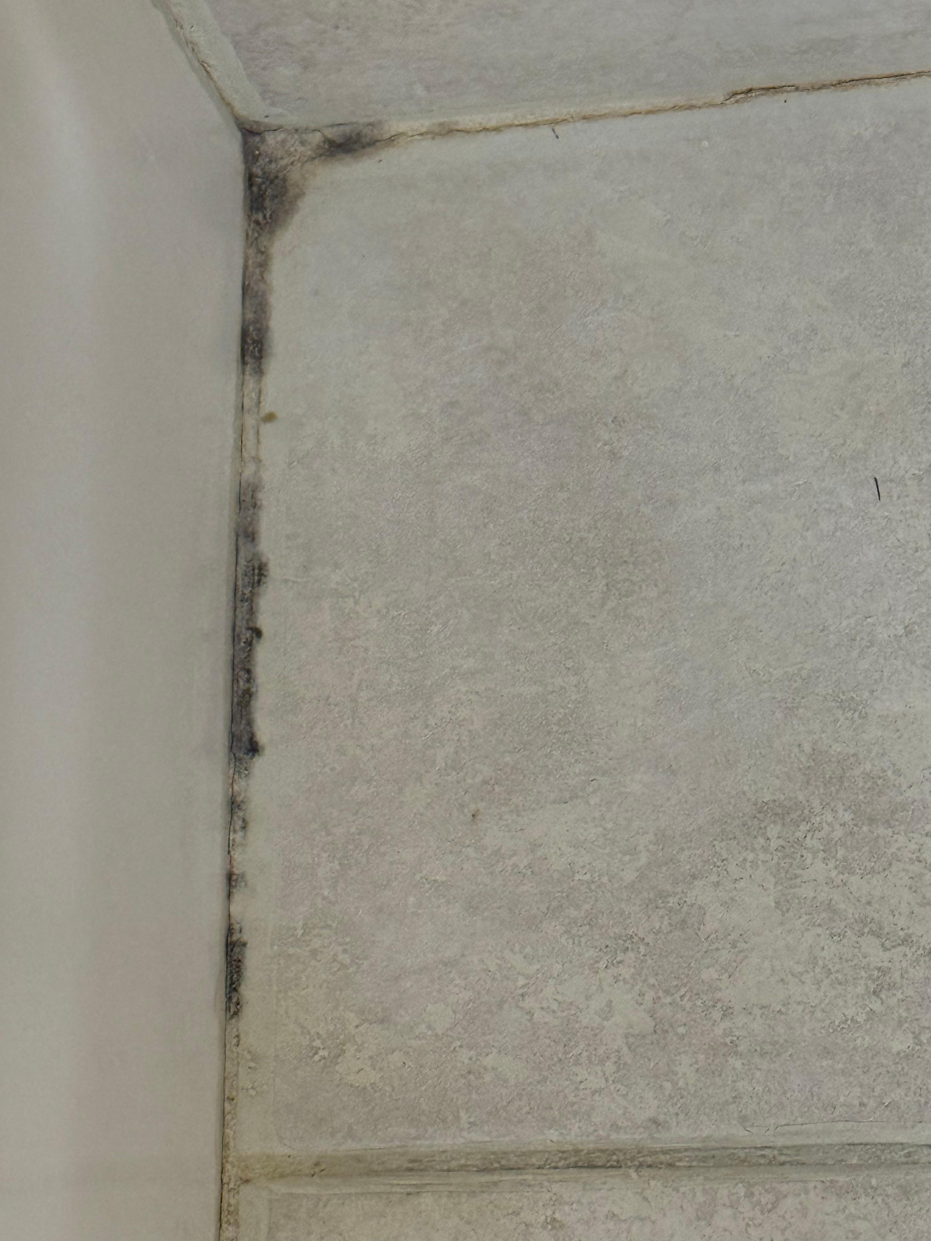 Mold all along the floor by the tub