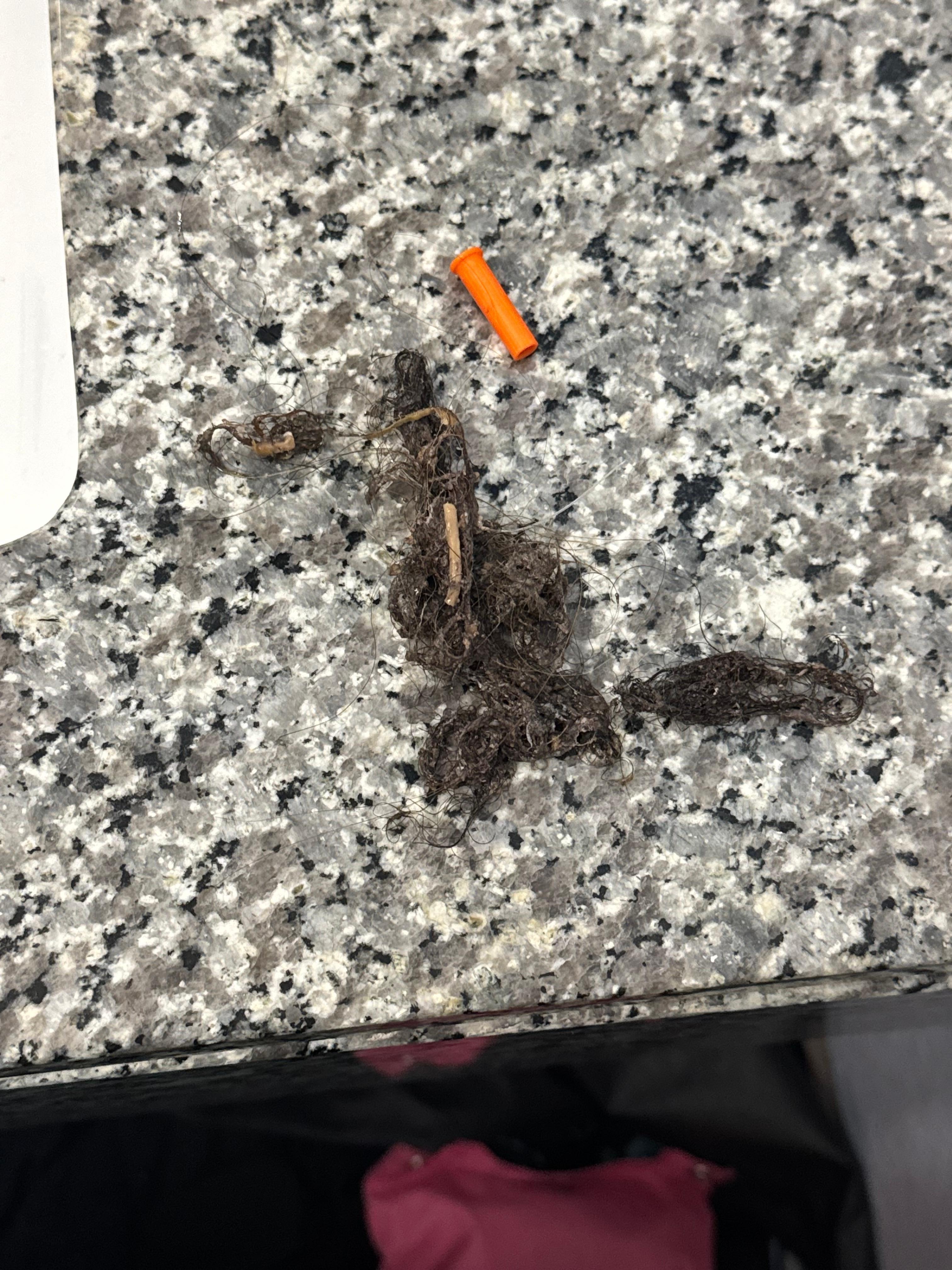 I stayed in the same room about 2  weeks ago and the lid was already in the drain.