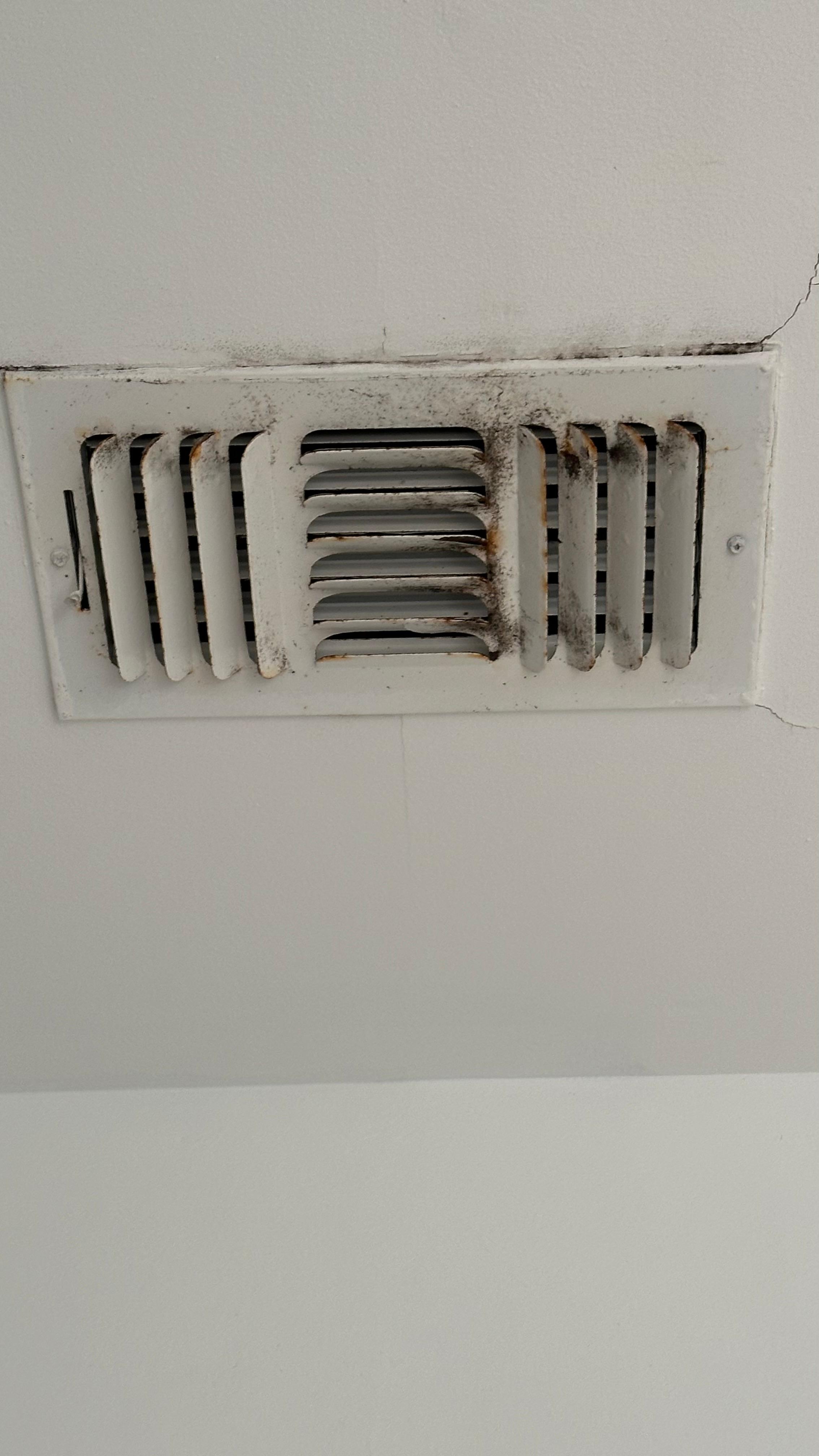 Black mold on vents 