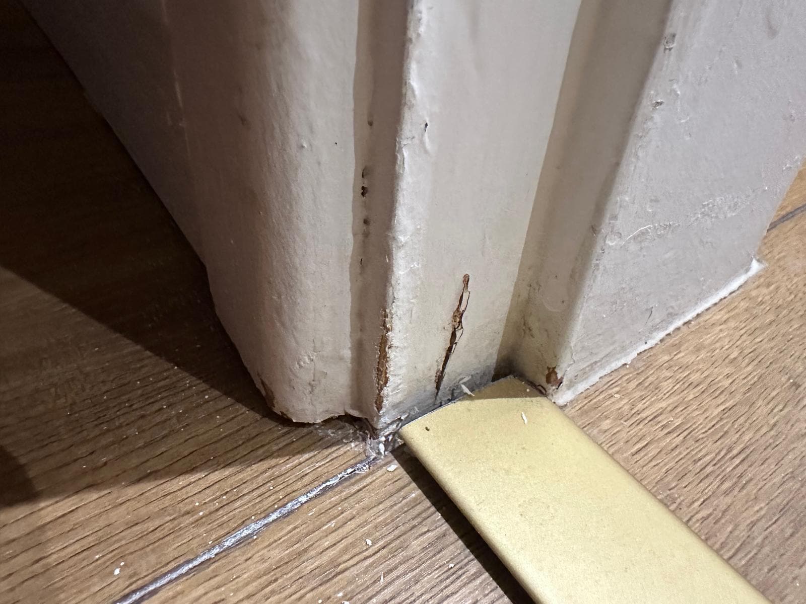 These scratches are from the rat/squirel