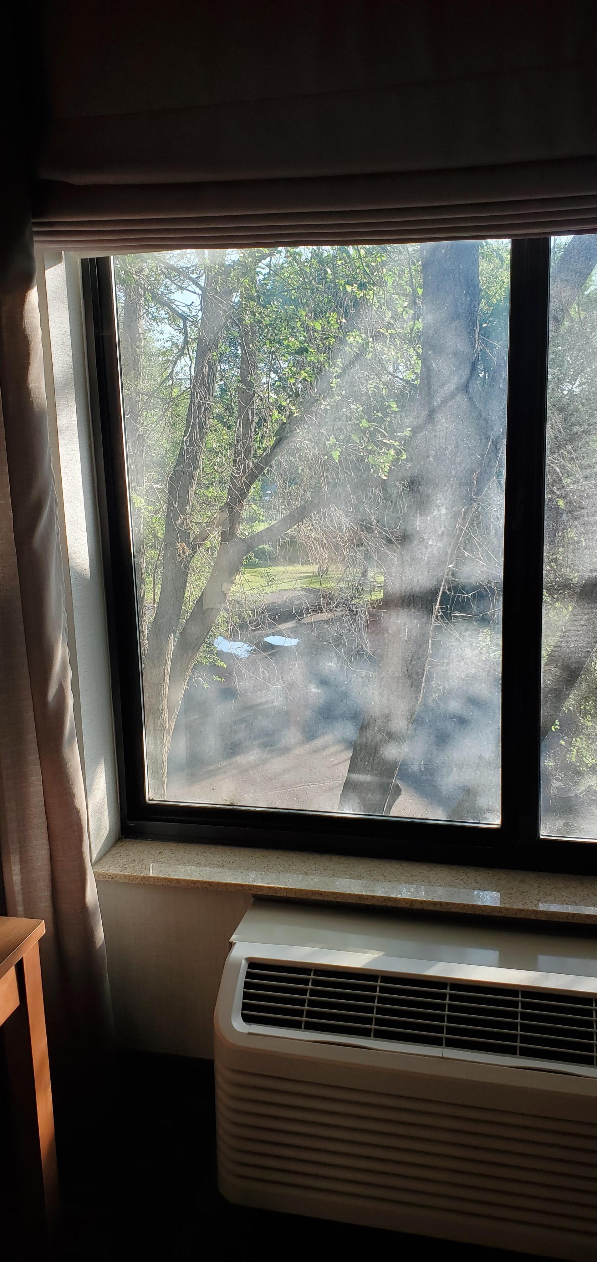Dirty windows 