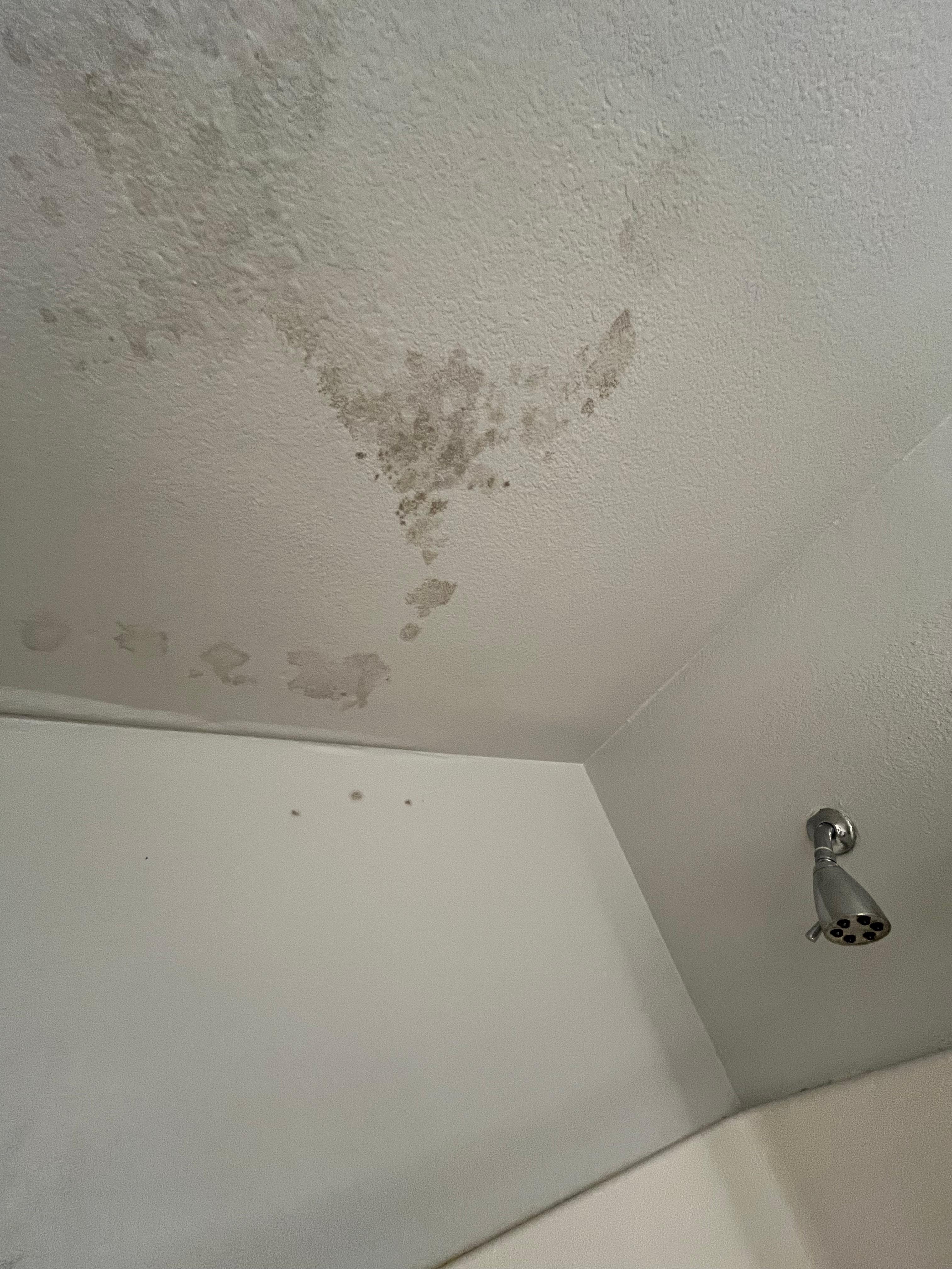 Room 227 Bathroom Ceiling, pic 2 - mold