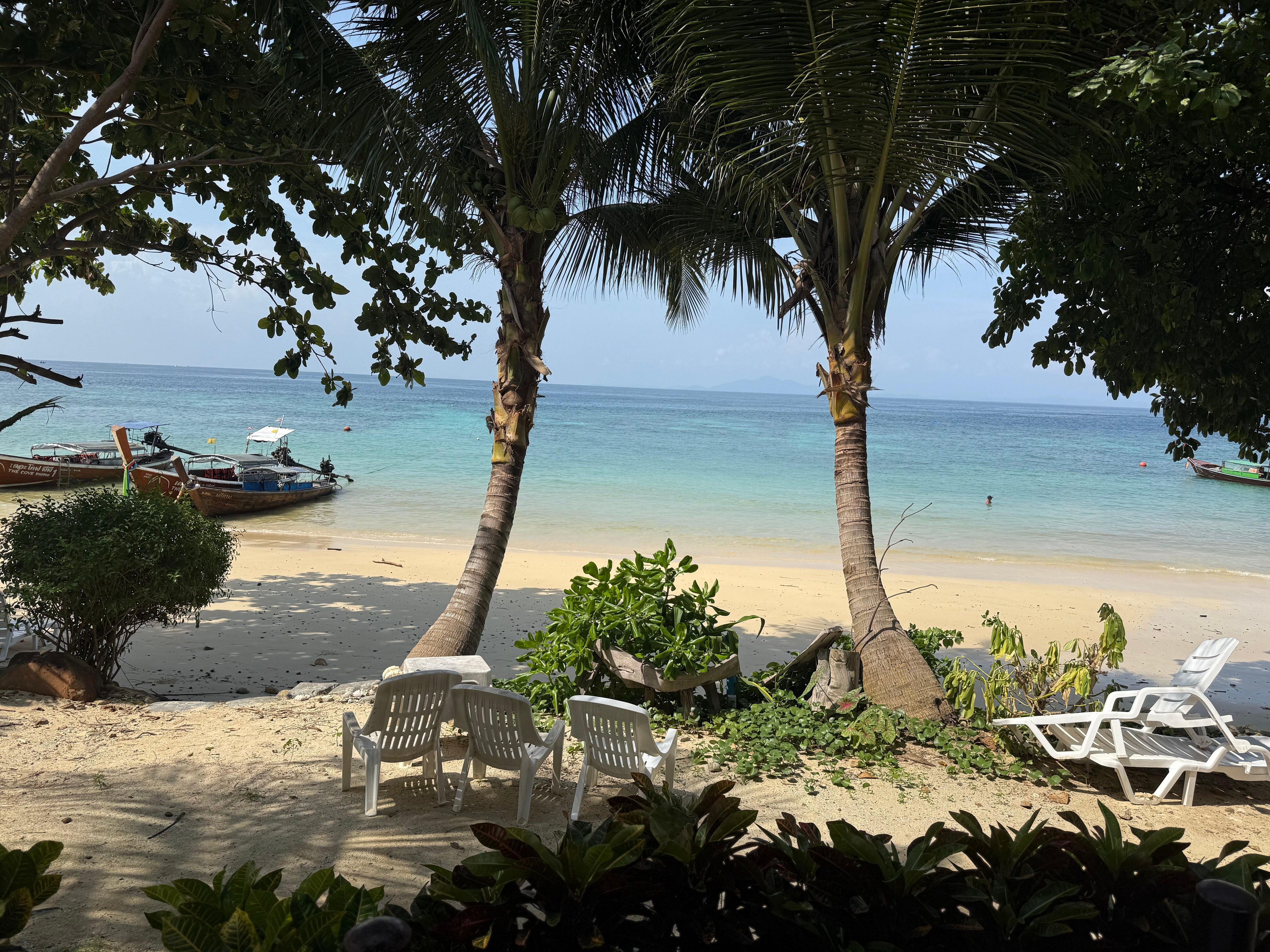 View from veranda 