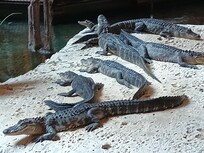 Family chilling