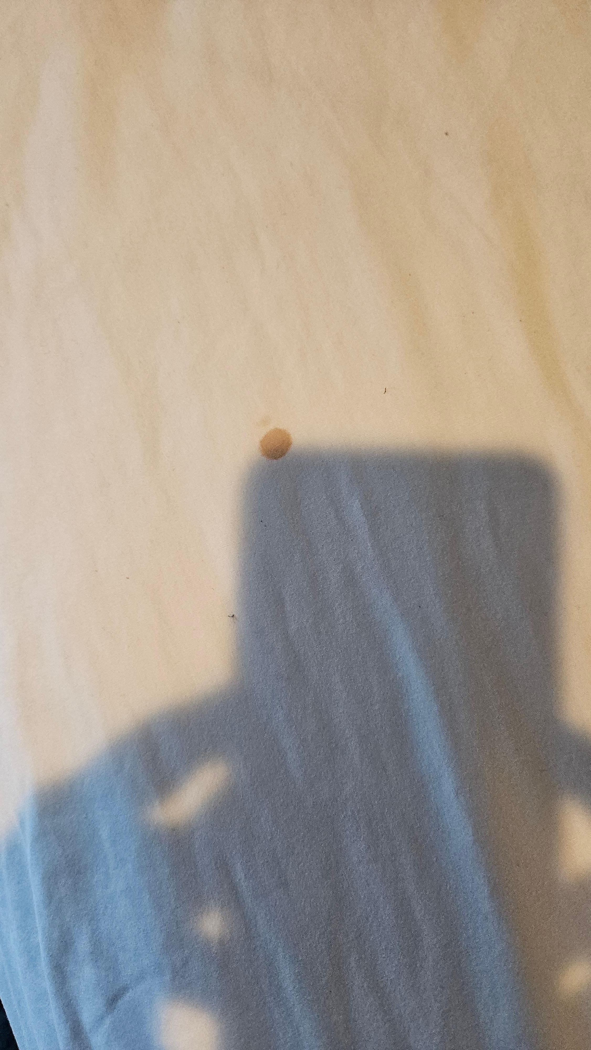 Camas (revisada en la mañana)