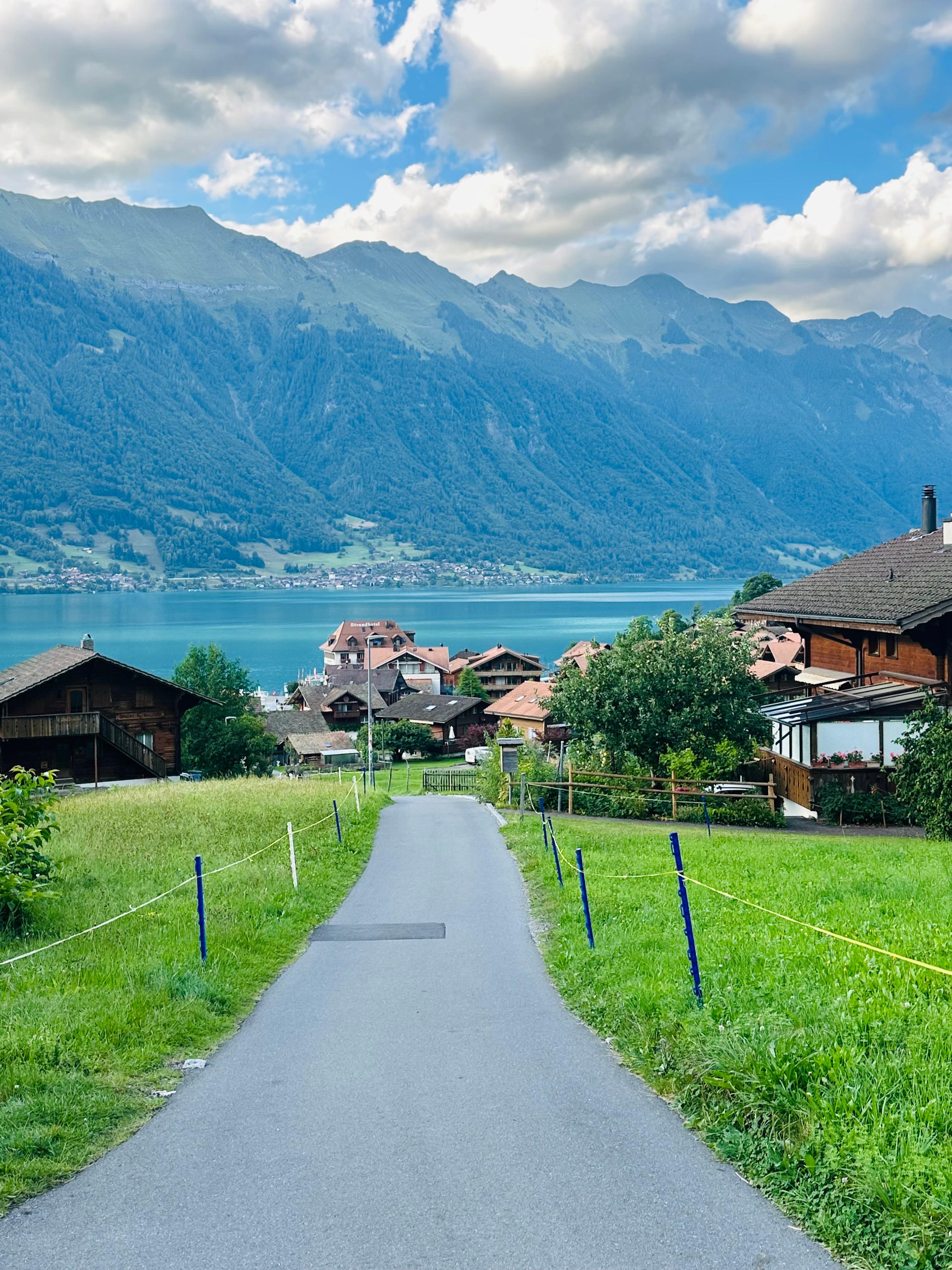 View coming down the road to the chalet 