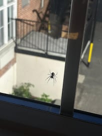 Sample Picture of outside guests..