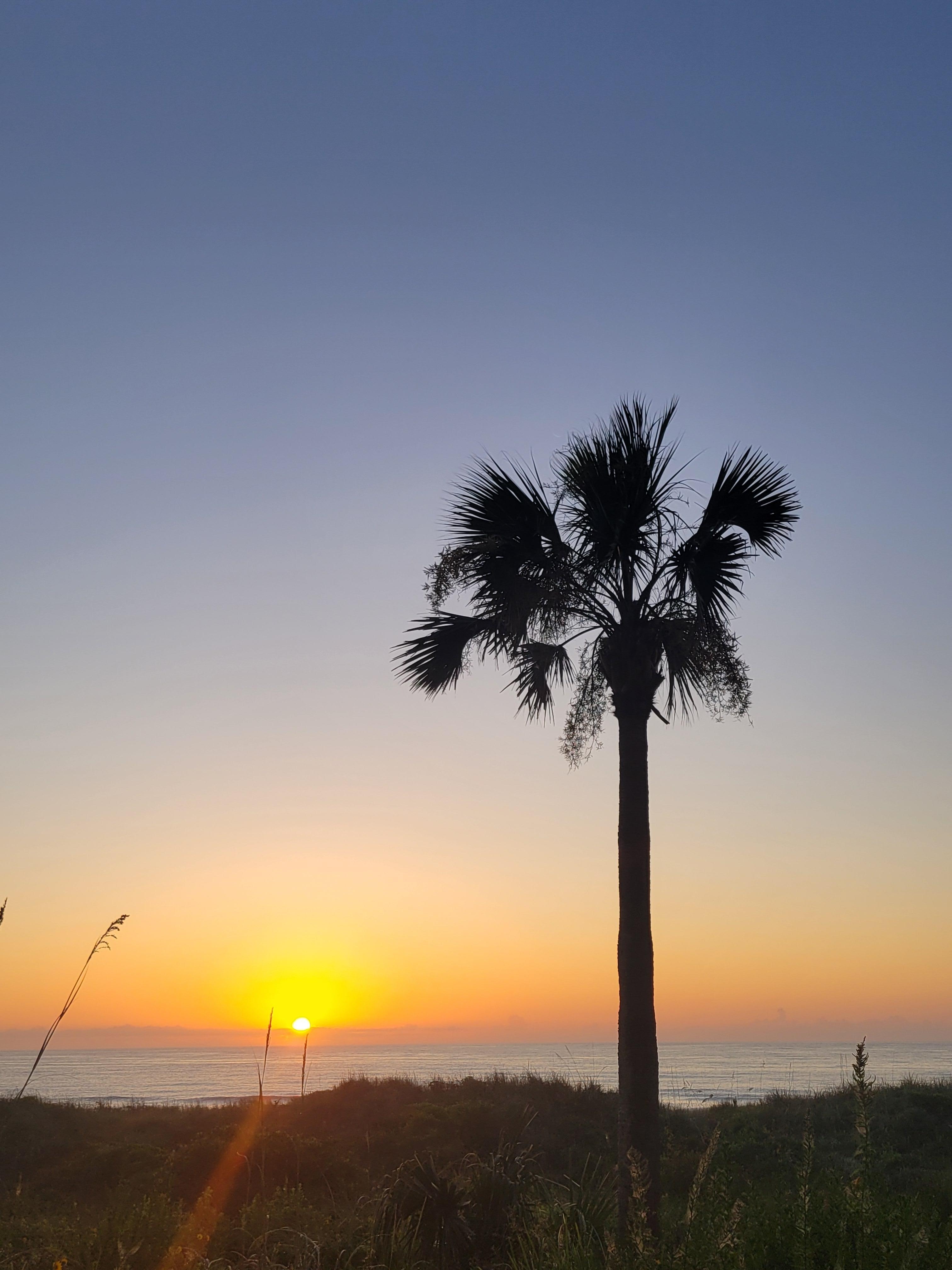 Beautiful sunrise from the patio