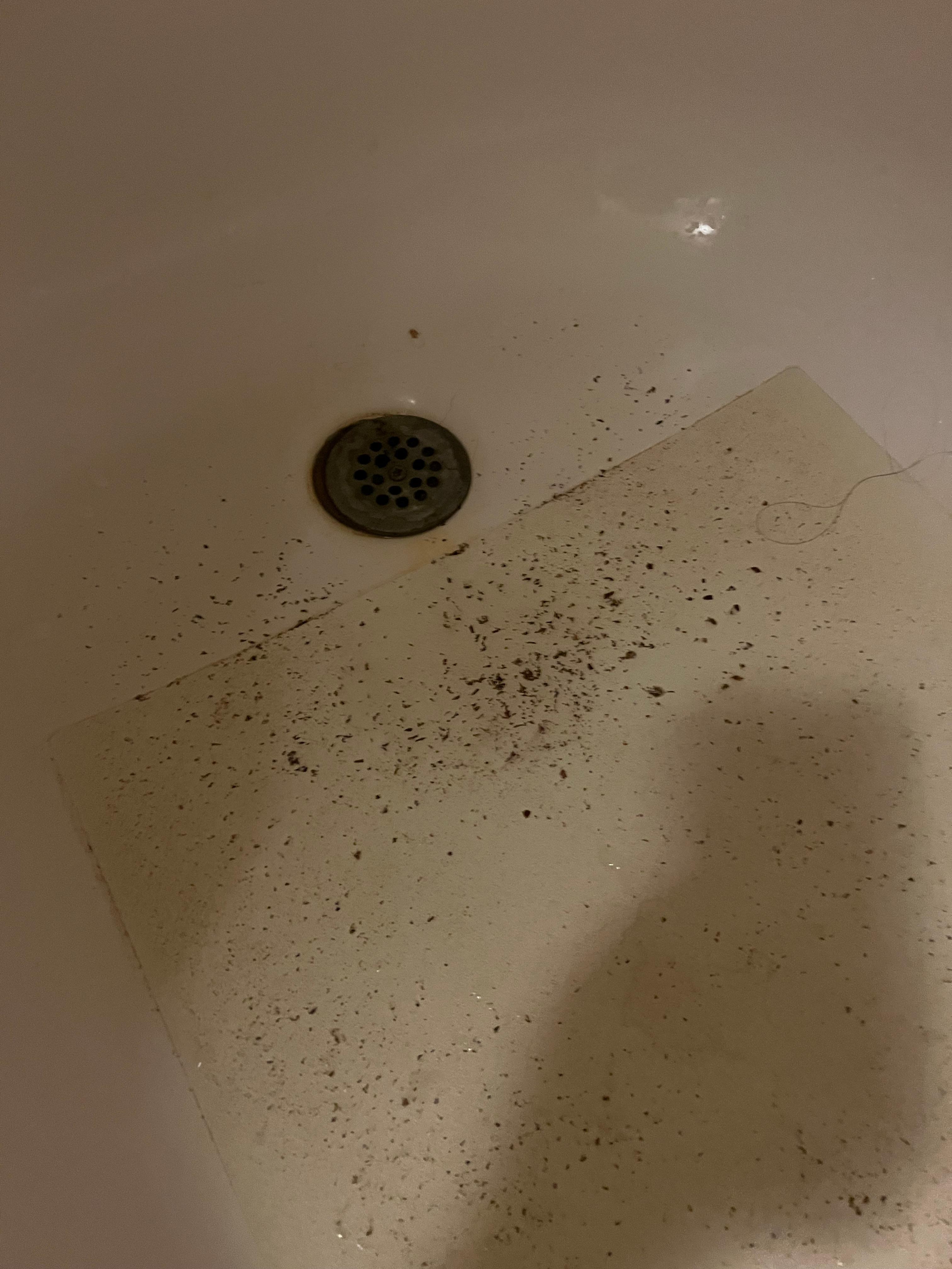 Shower full of rust