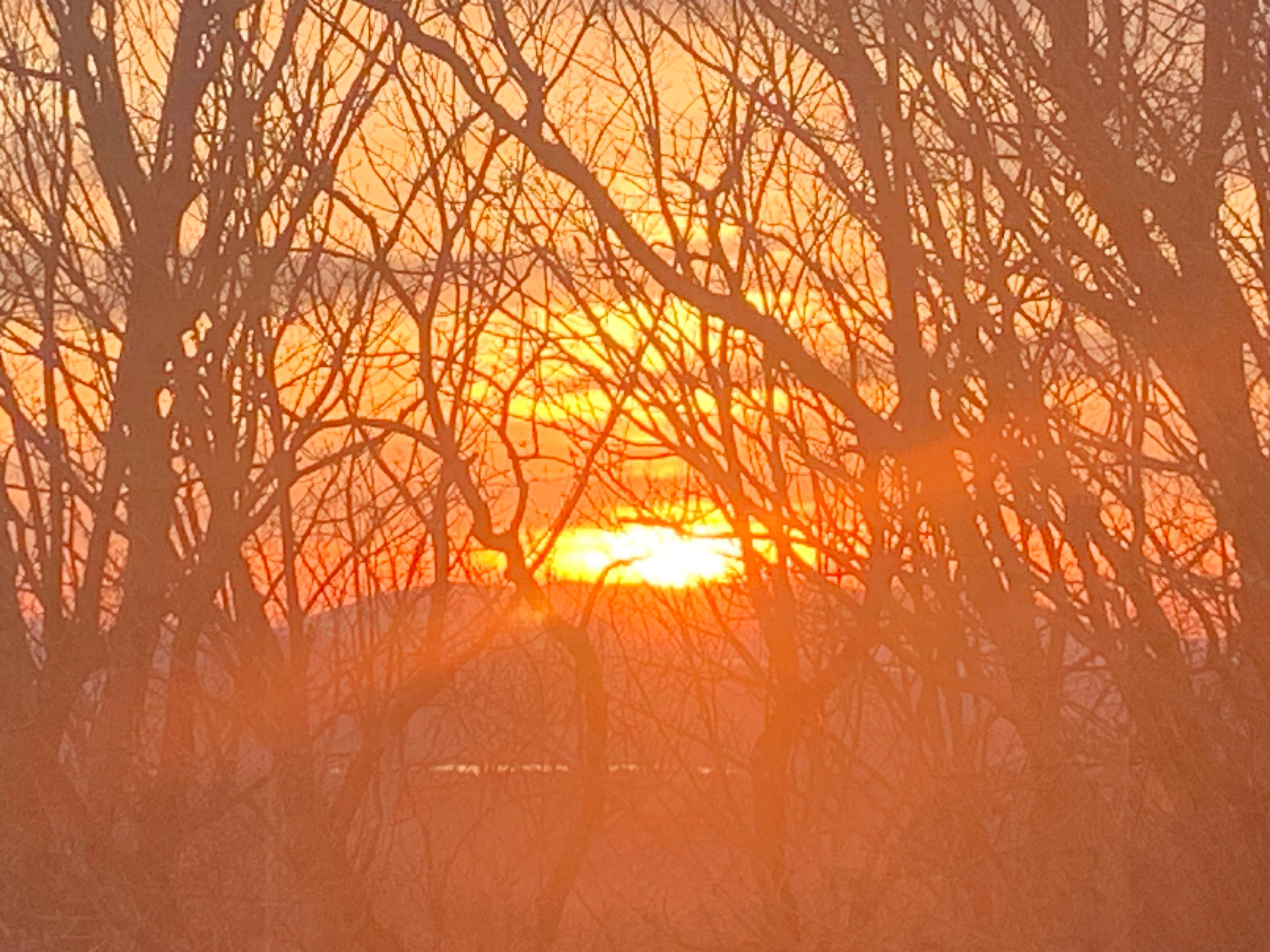 Sunrise off the master balcony 