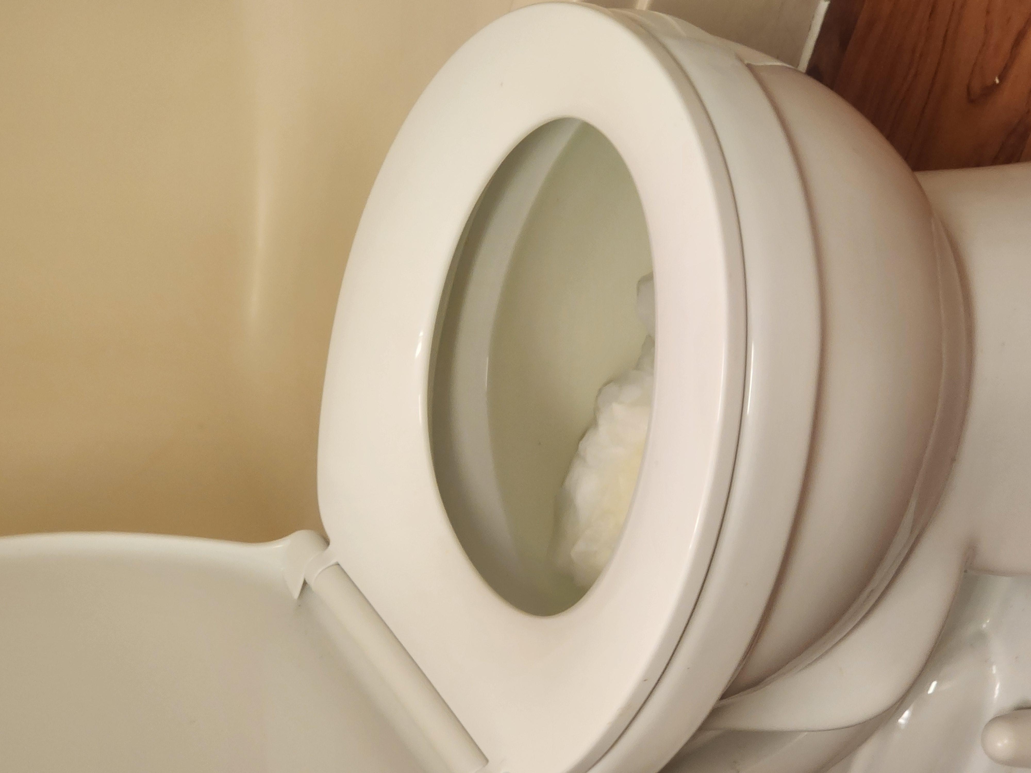 clog toilet
