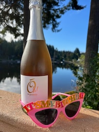 Birthday celebration!