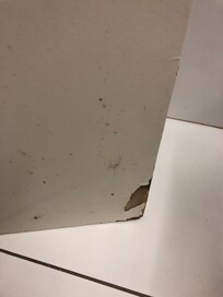 Damaged bathroom door