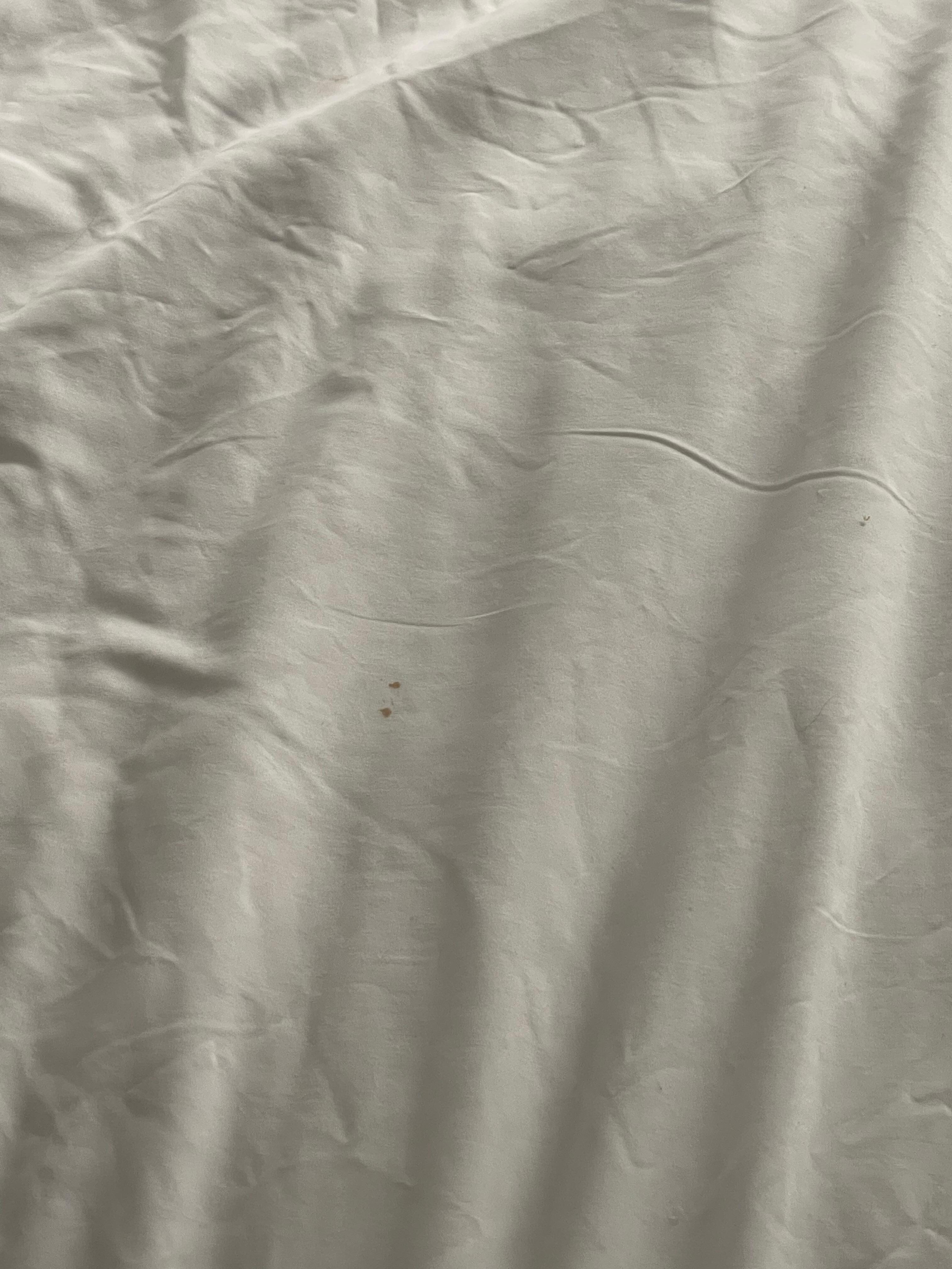 Stain