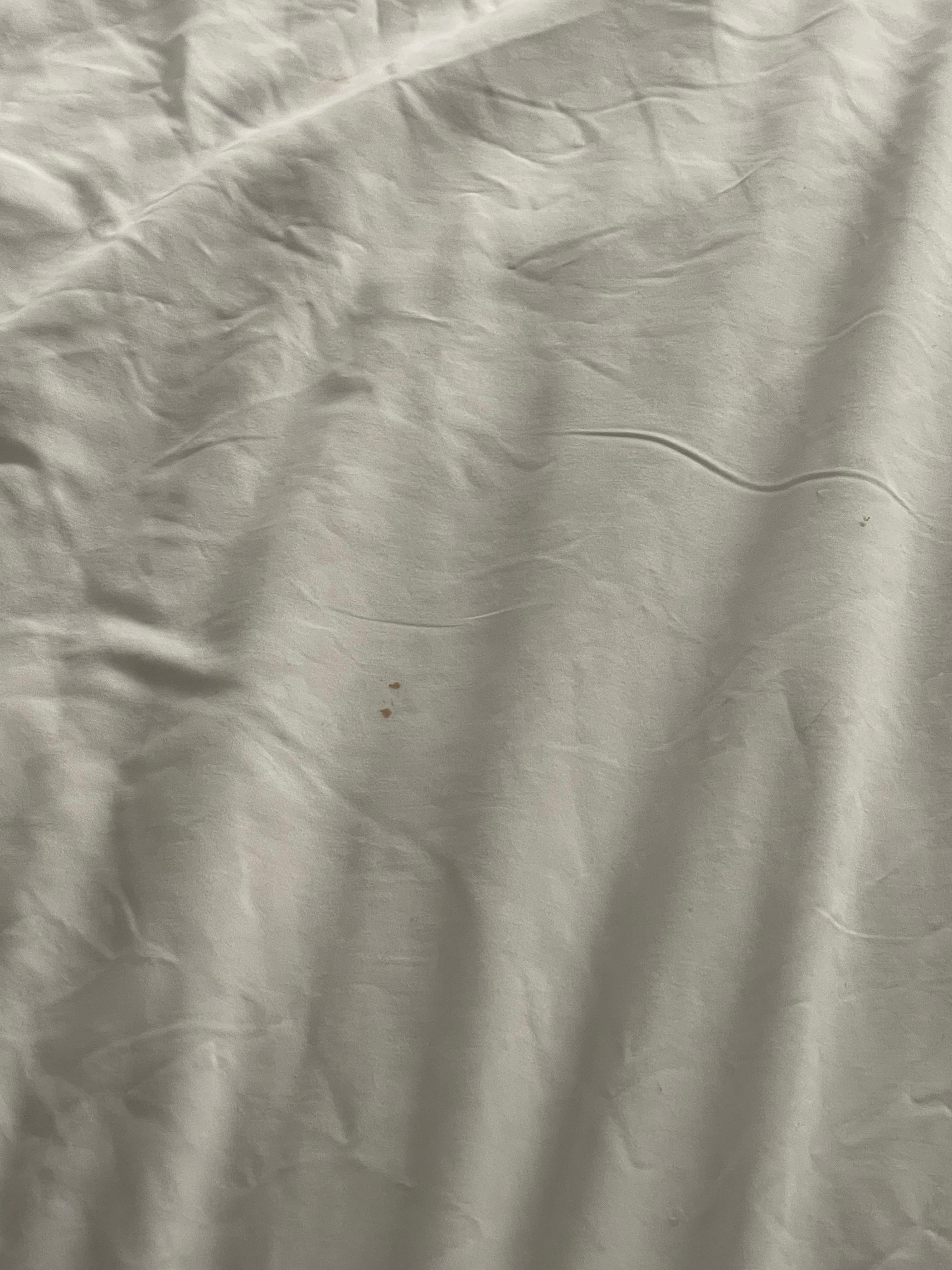 Stain
