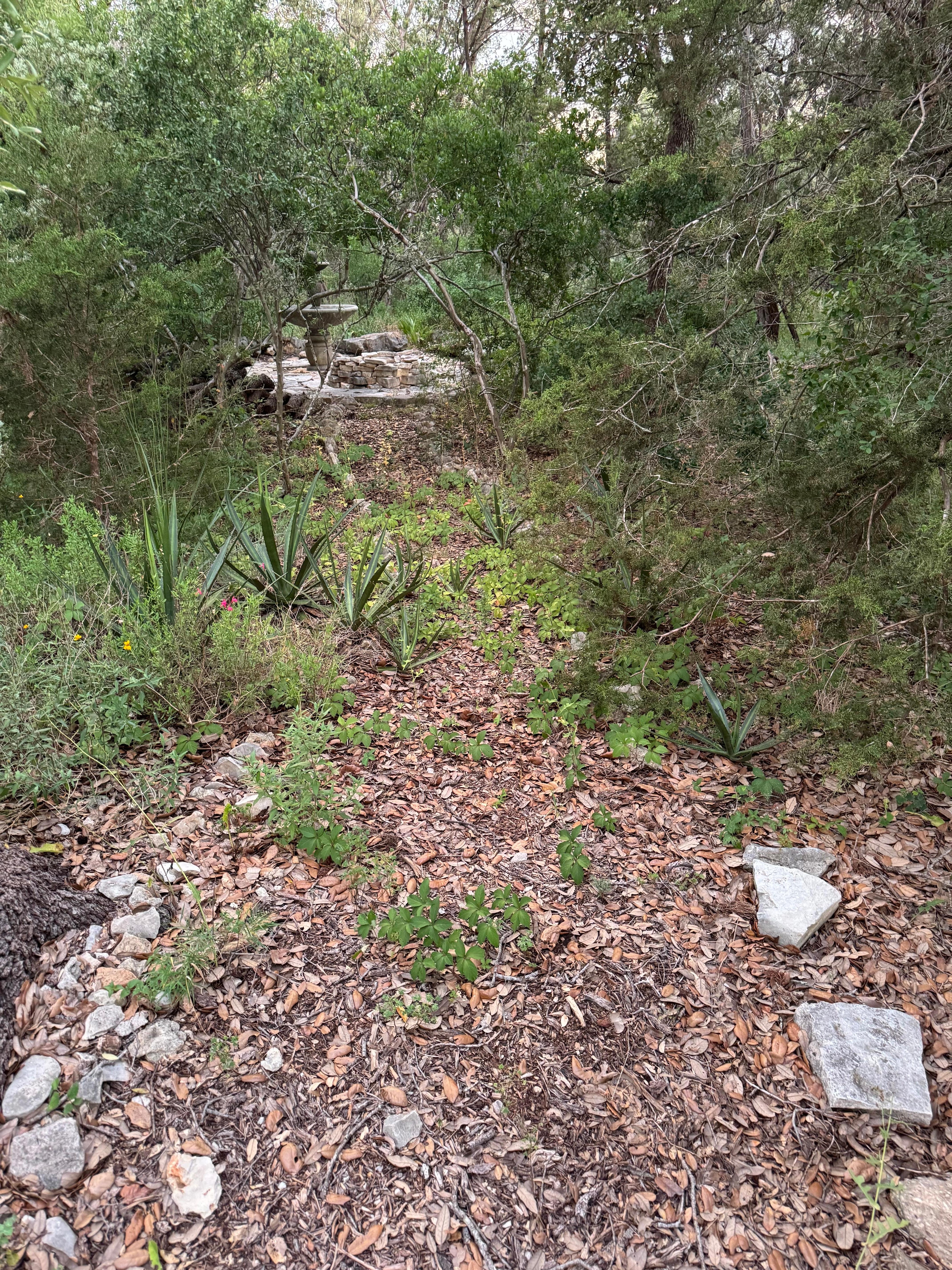 Pathway needs to be maintained 