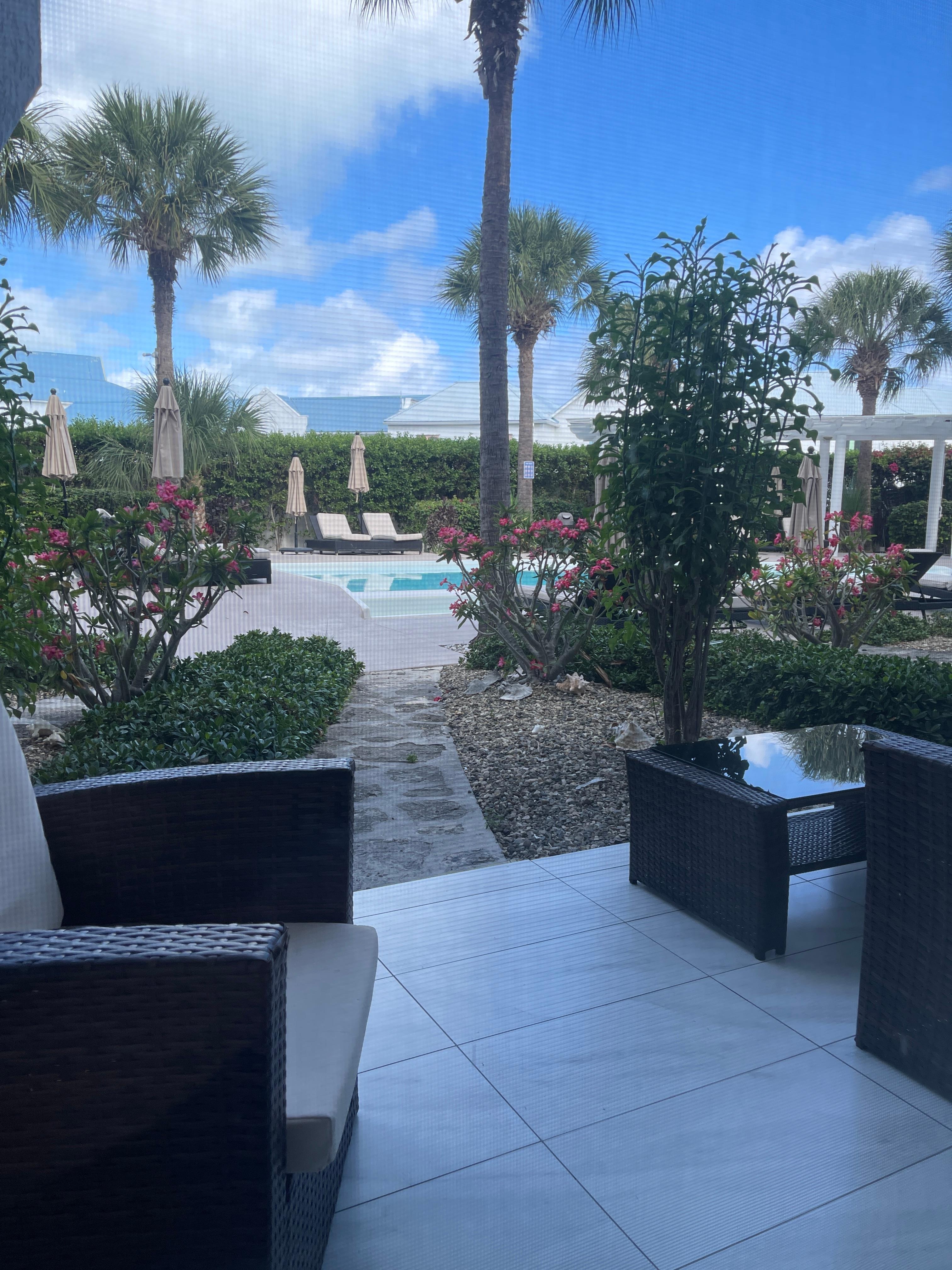View from my room