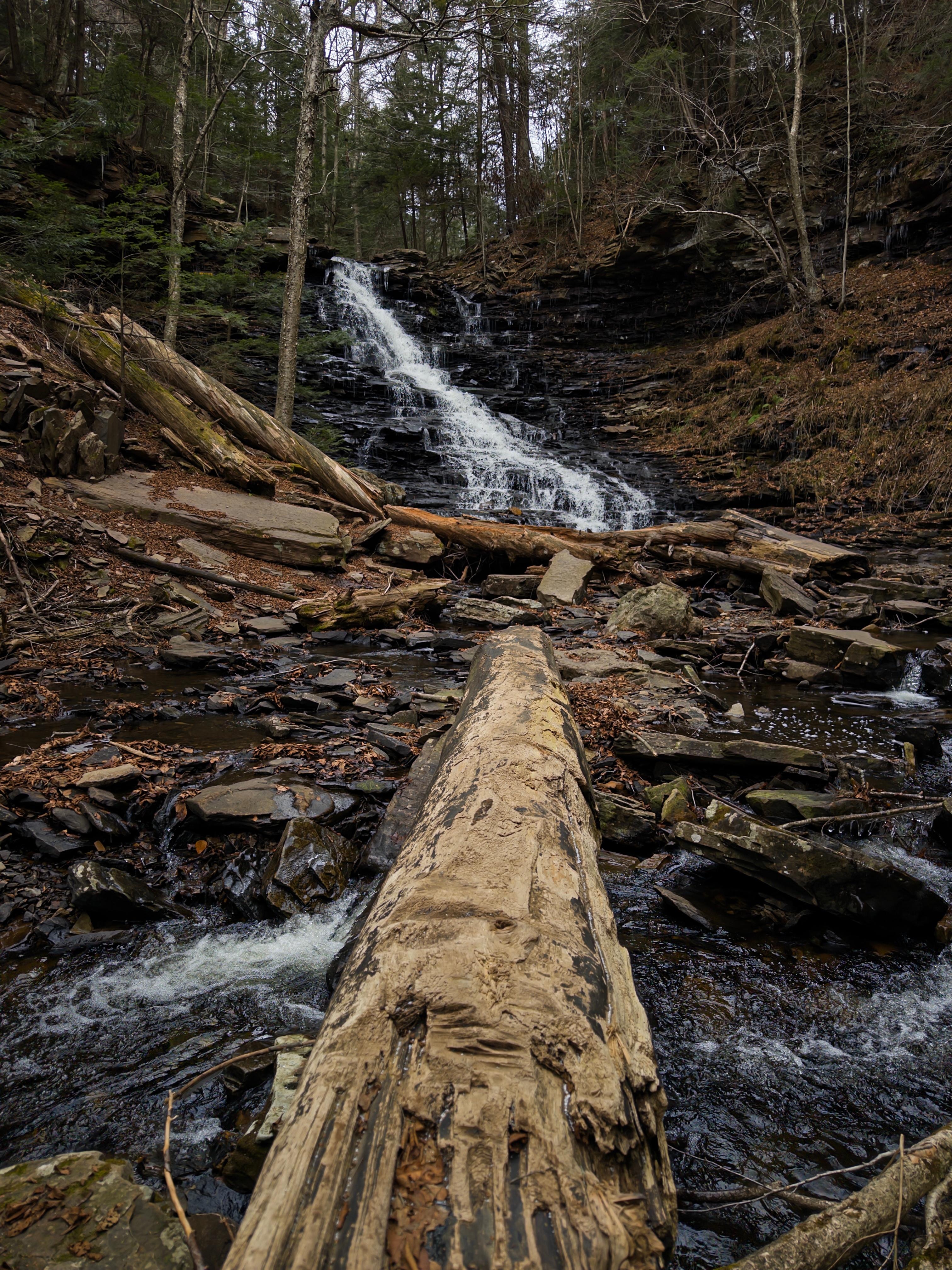 Ricketts Glen State Park