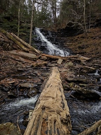 Ricketts Glen State Park