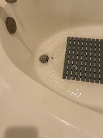 One of the roaches we found in the upstairs masters bathroom.