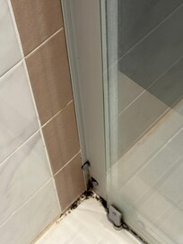 Hotel mold