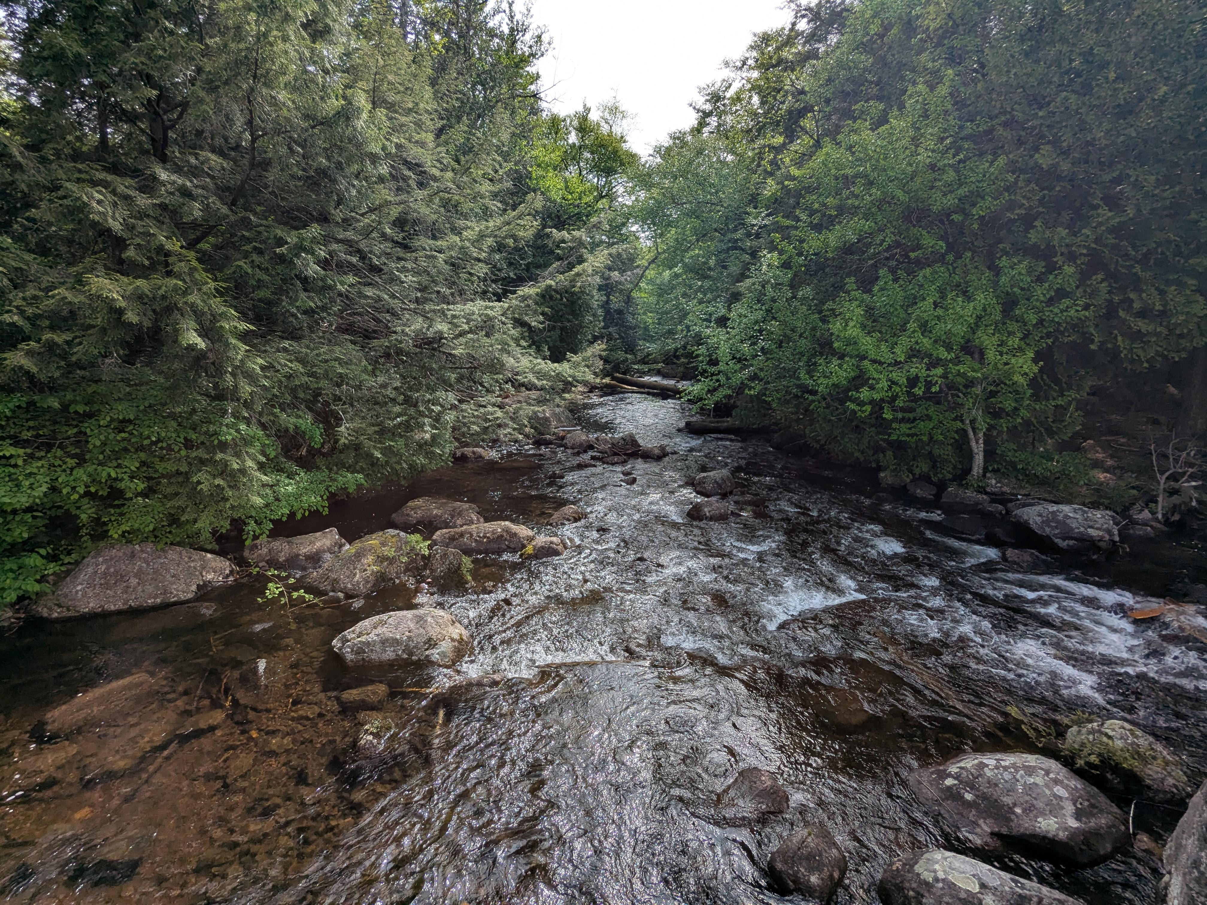 Brook near Lake Placid 