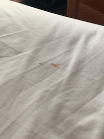 Clearly dirty sheets taken and sent within an hour of checking in.