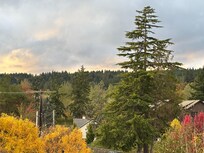 Fall Color