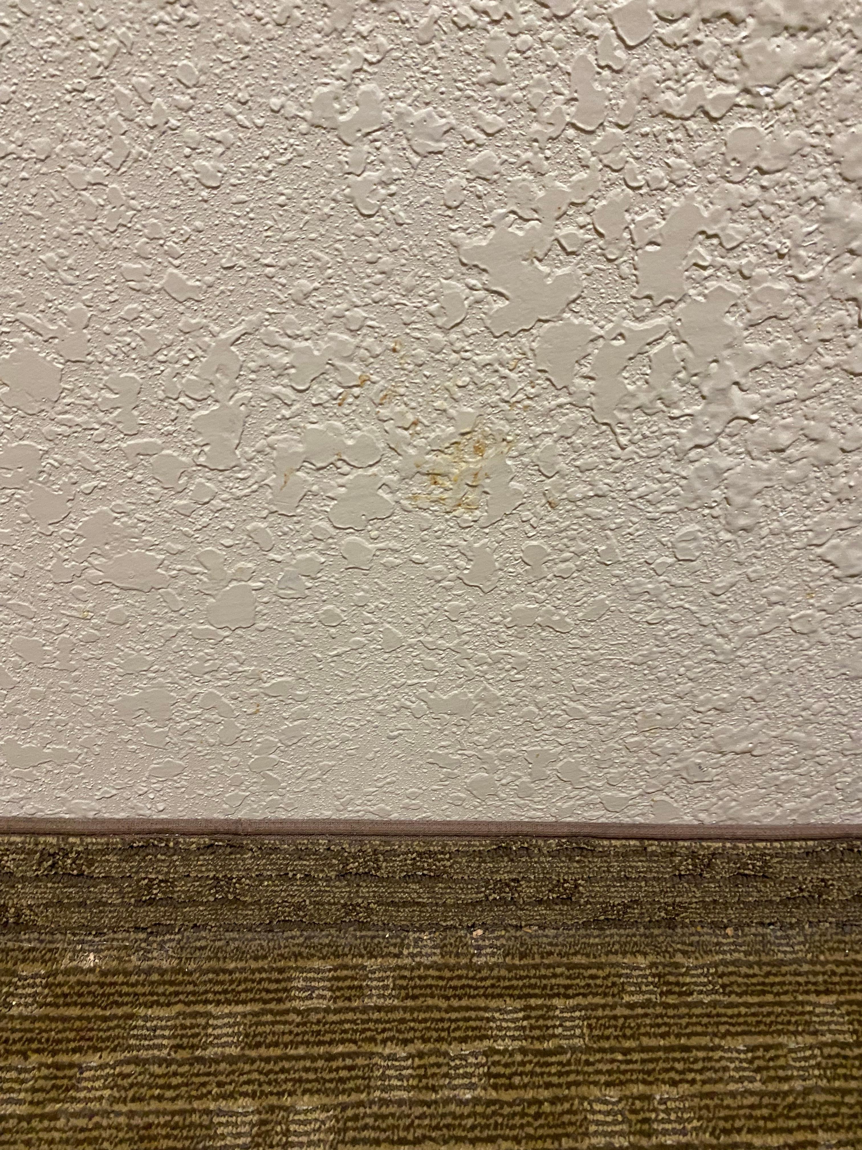 This was one of the many wall stains….