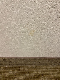 This was one of the many wall stains….