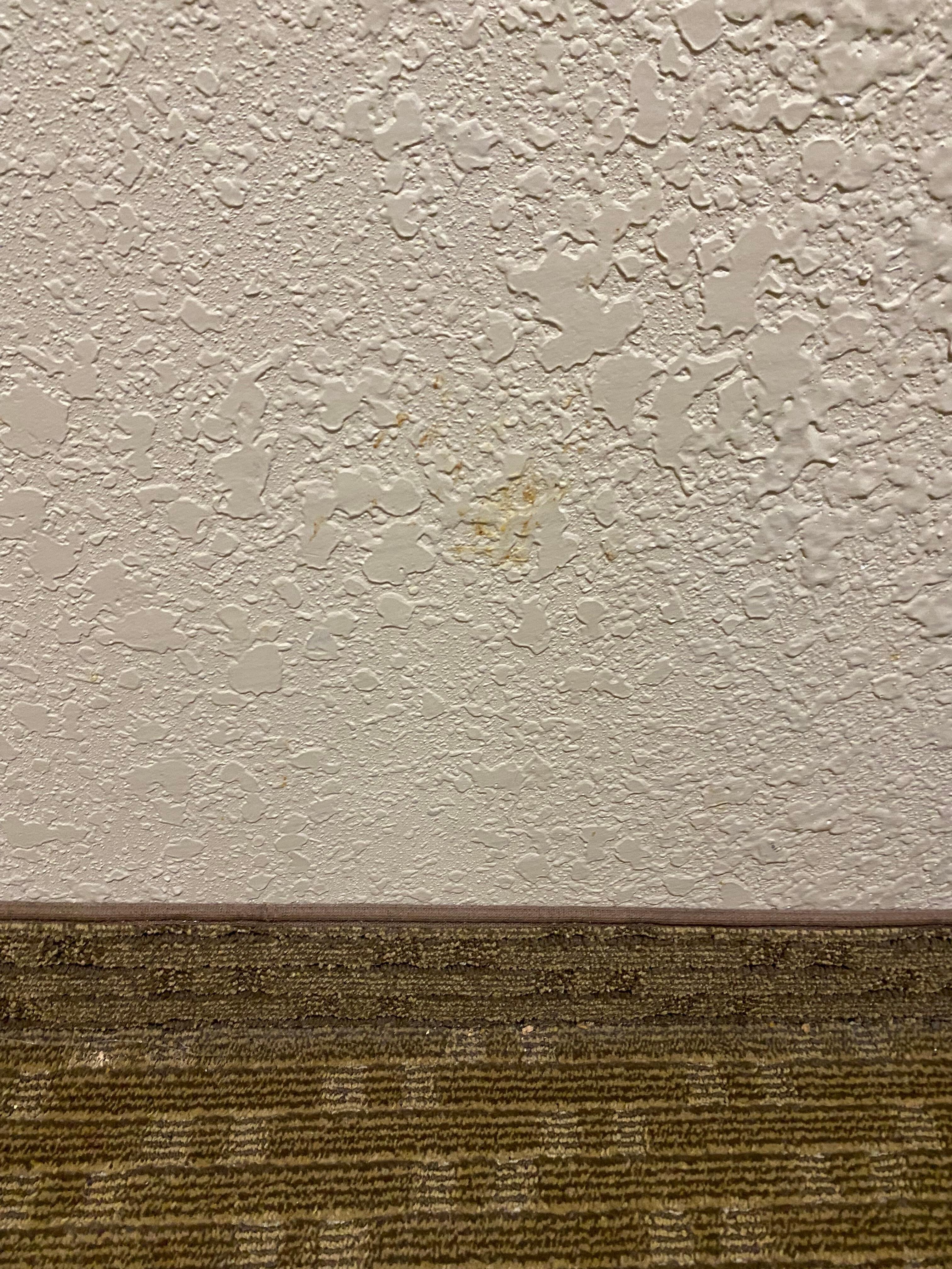 This was one of the many wall stains….