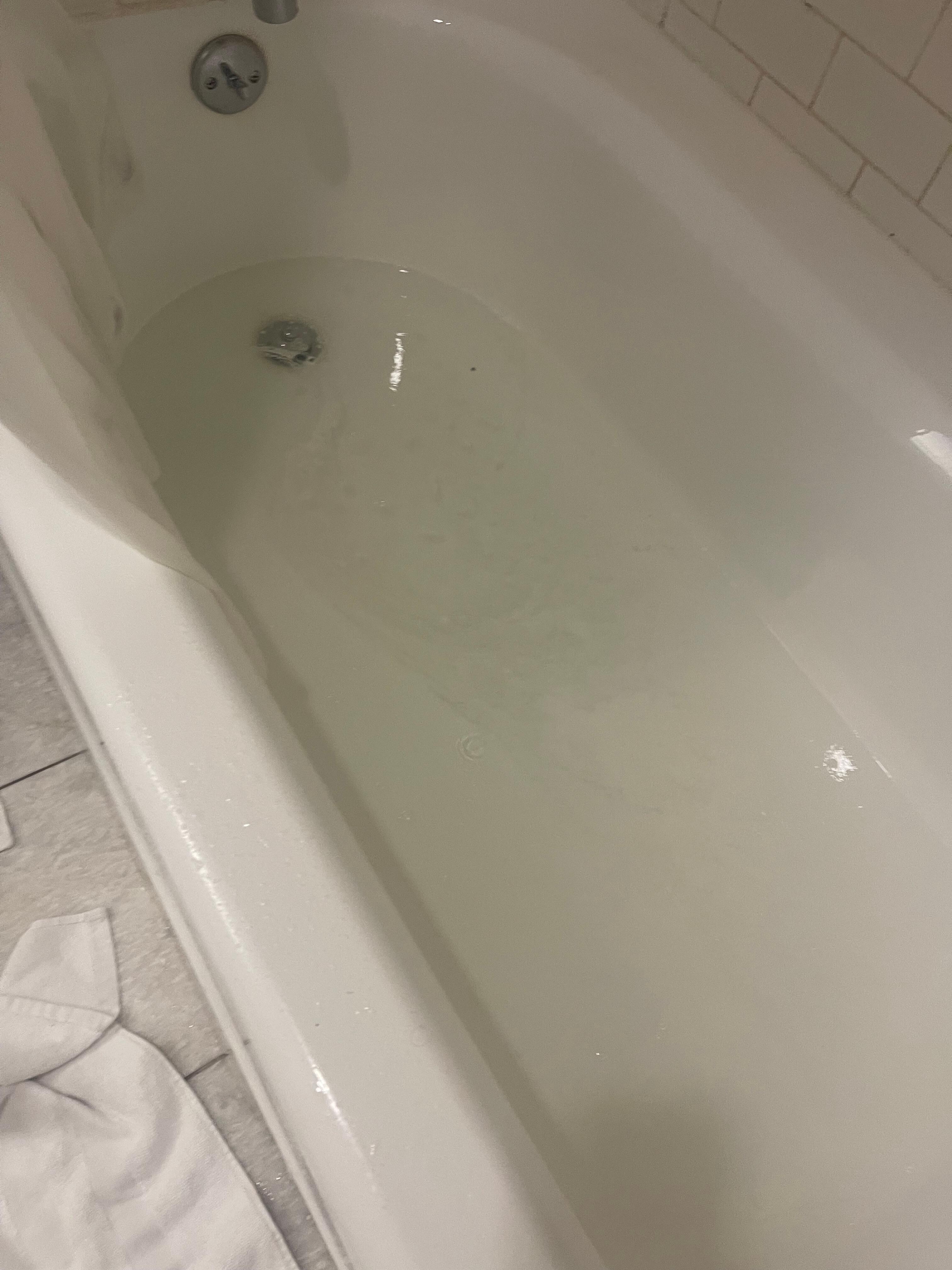 Bathtub clogged 