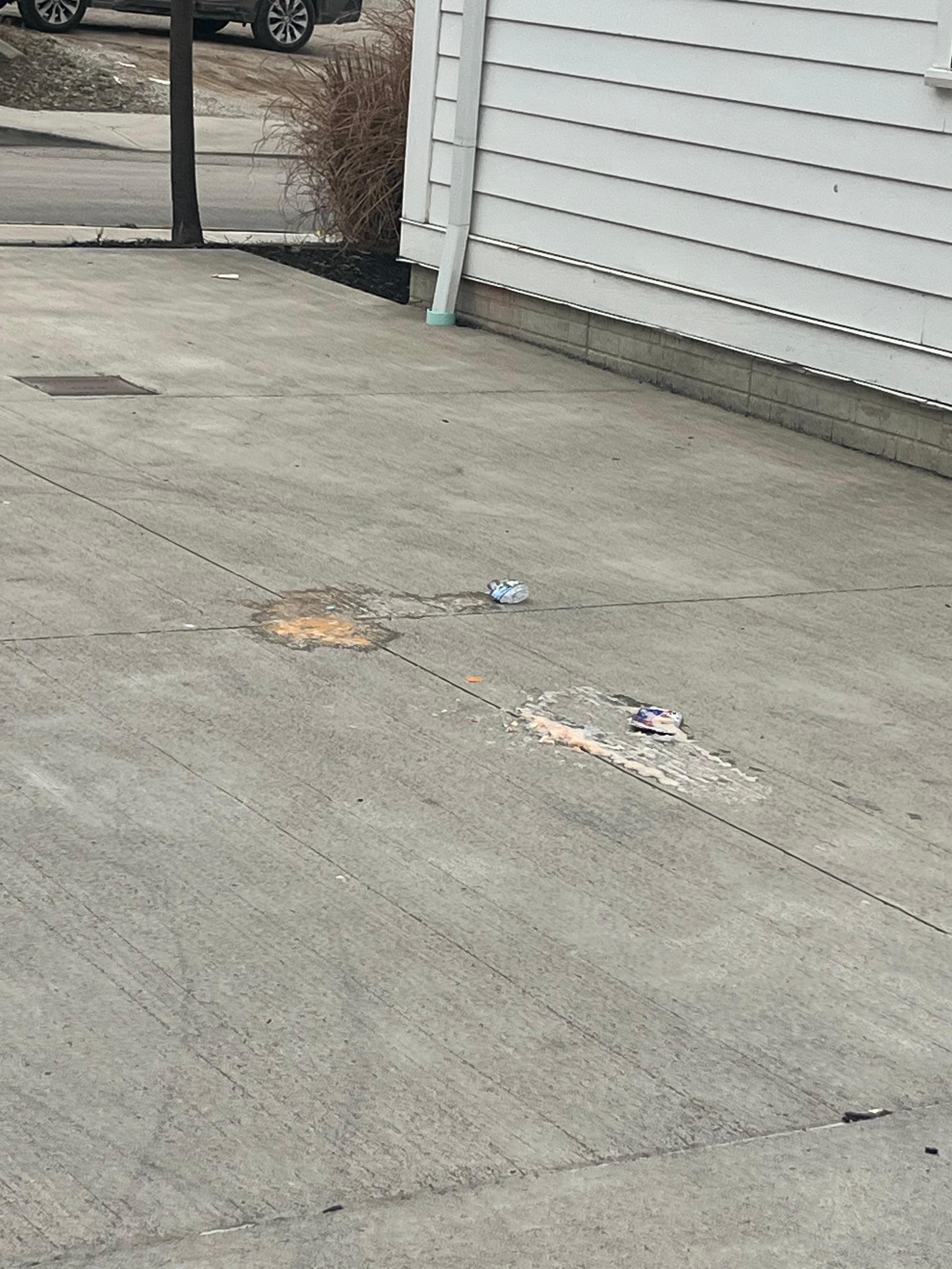 Picture of vomit in the parking lot where the people were blocking our entry into the house. 