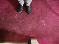 Carpet stains
