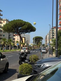 View from the front