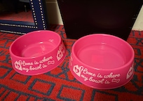 Cute dog bowls provided!