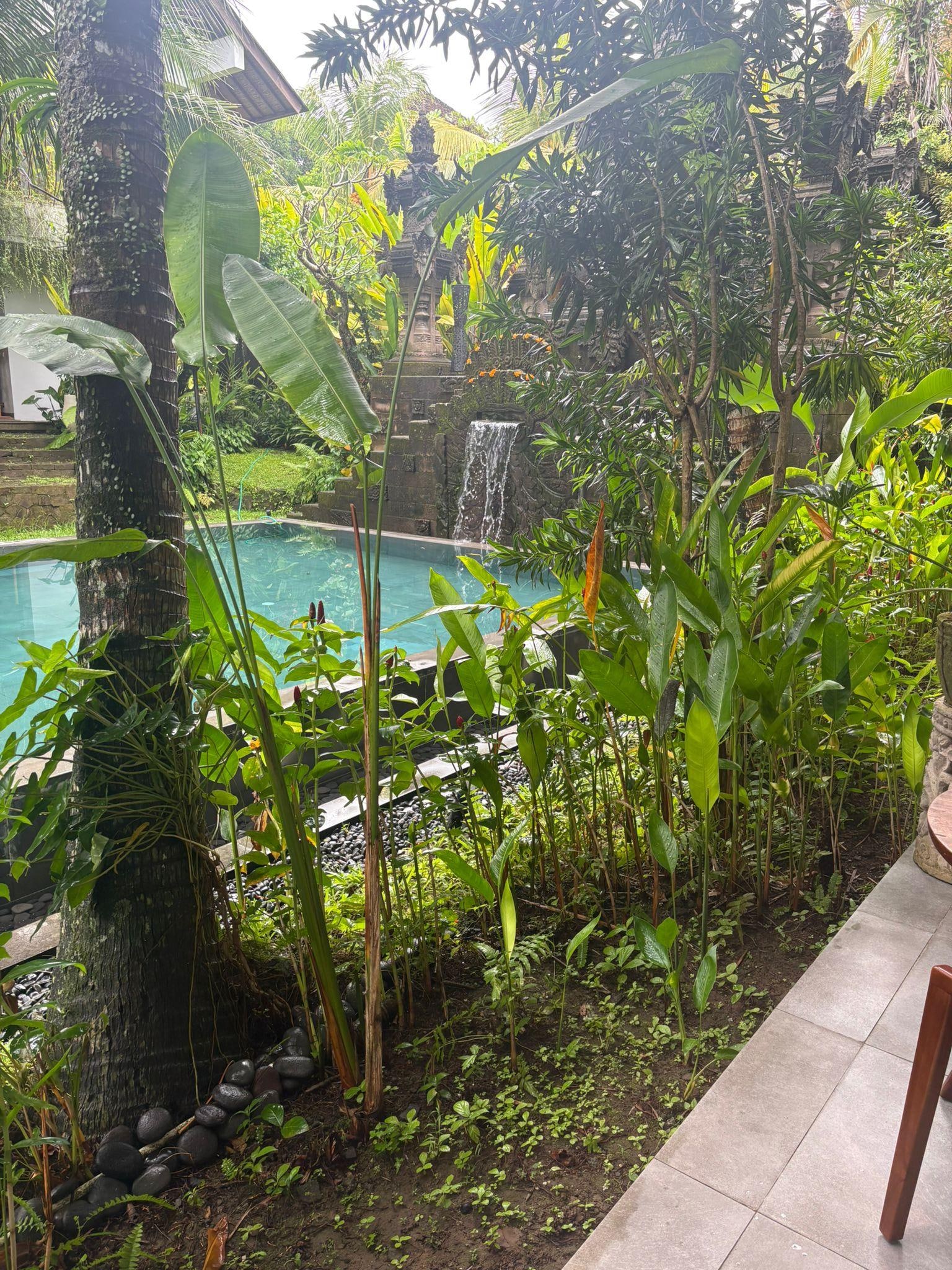 Our view from our room